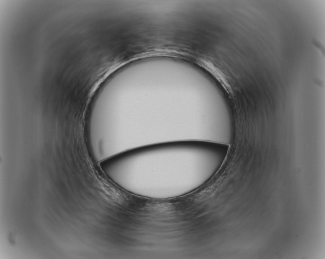 X0000096661260200803041153