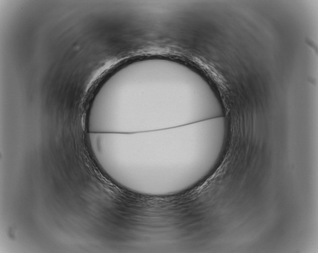 X0000096661262200803041153