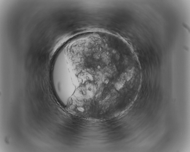 X0000096661263200803041153