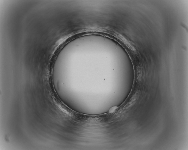 X0000096661264200803041153