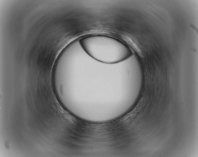 X0000096661268200803041153