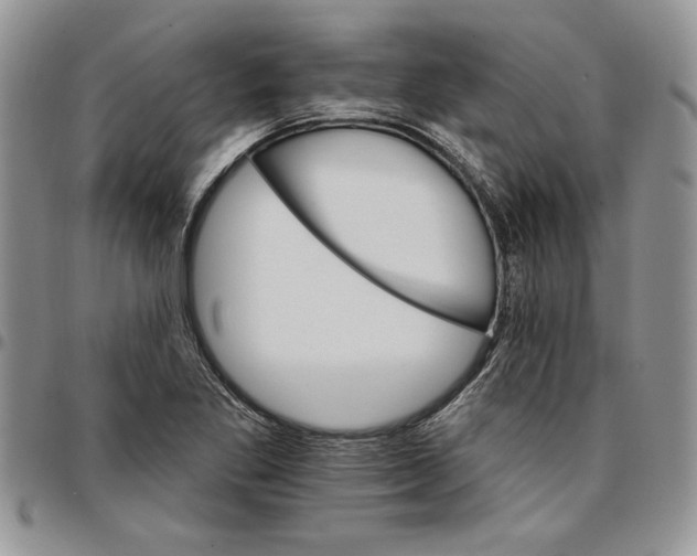 X0000096661269200803041153