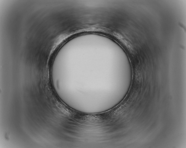 X0000096661270200803041153