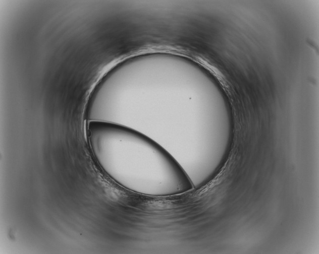 X0000096661272200803041153