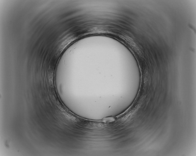 X0000096661273200803041153