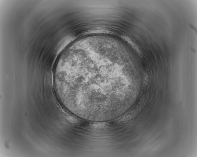 X0000096661274200803041153