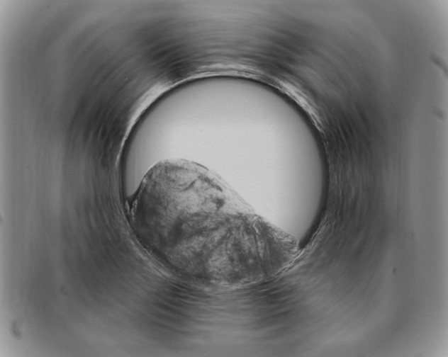 X0000096661275200803041153