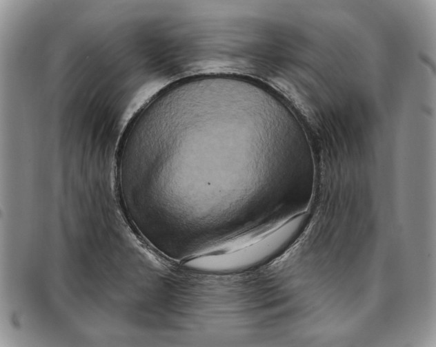 X0000096661277200803041153