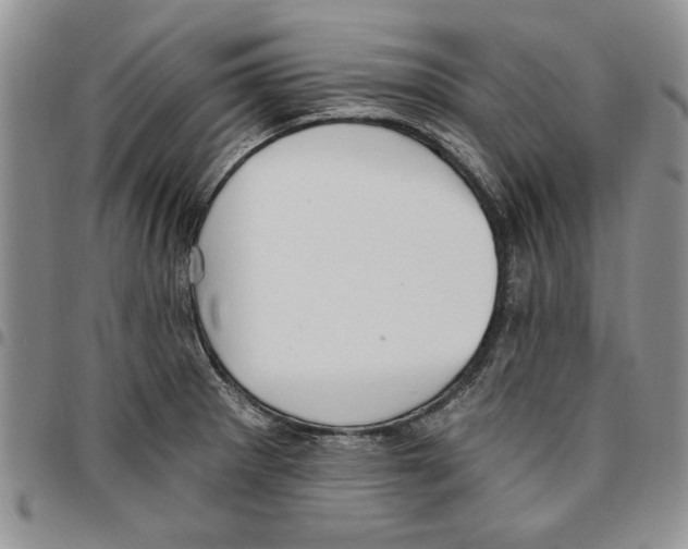 X0000096661281200803041153