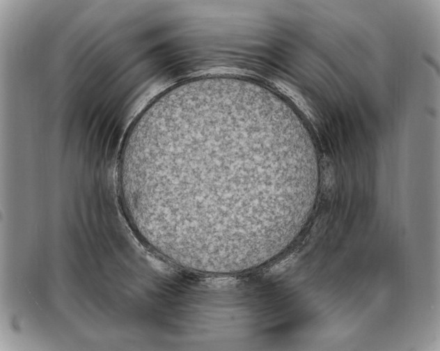 X0000096661282200803041153