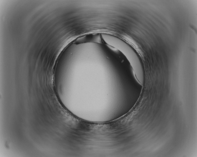 X0000096661284200803041153