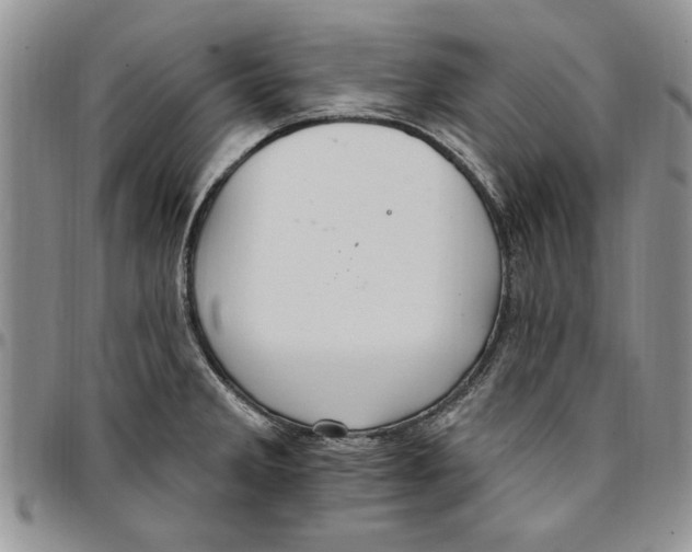 X0000096661285200803041153