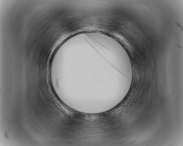 X0000096661286200803041153