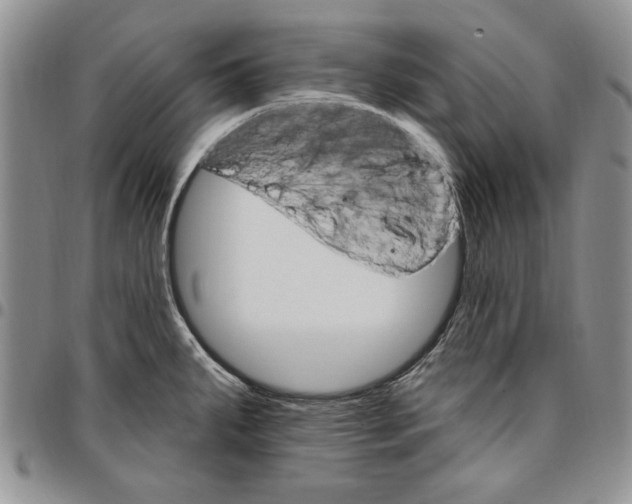 X0000096661287200803041153