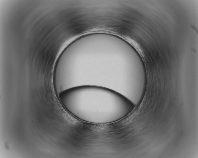 X0000096661288200803041153