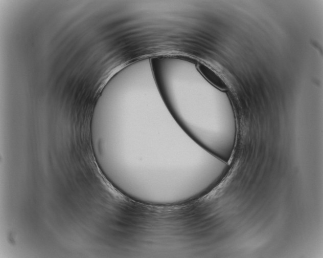 X0000096661289200803041153