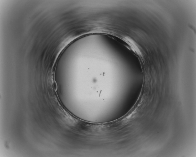 X0000096661292200803041153