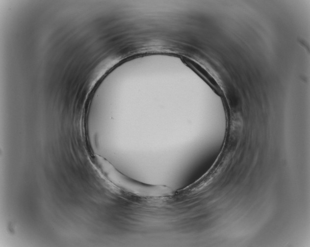 X0000096661293200803041153