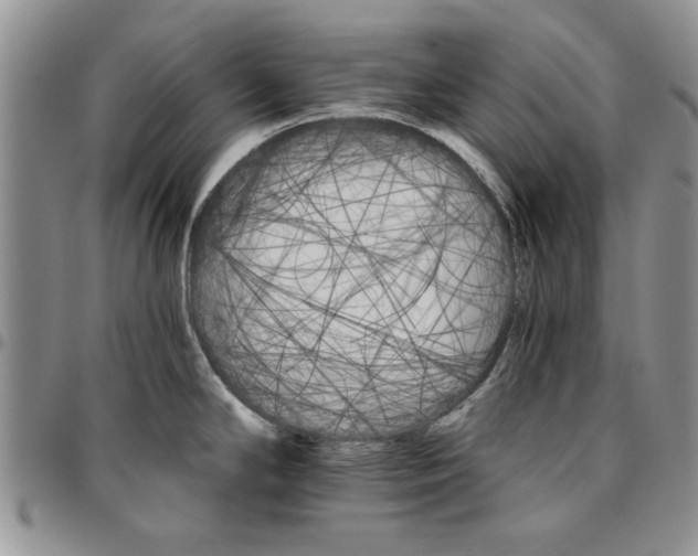 X0000096661294200803041153