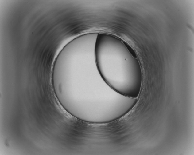 X0000096661296200803041153