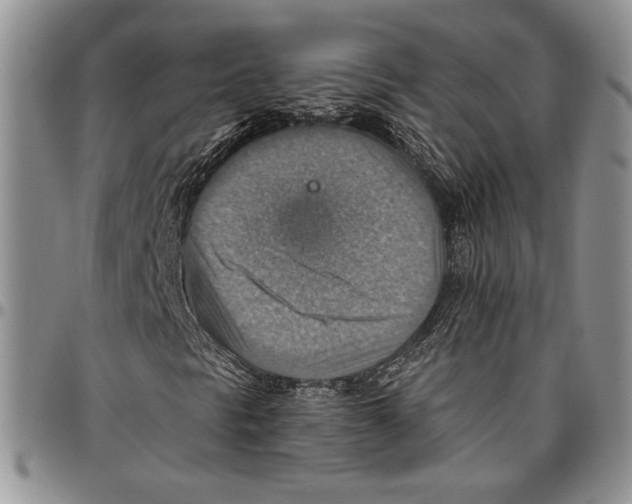 X0000096661297200803041152