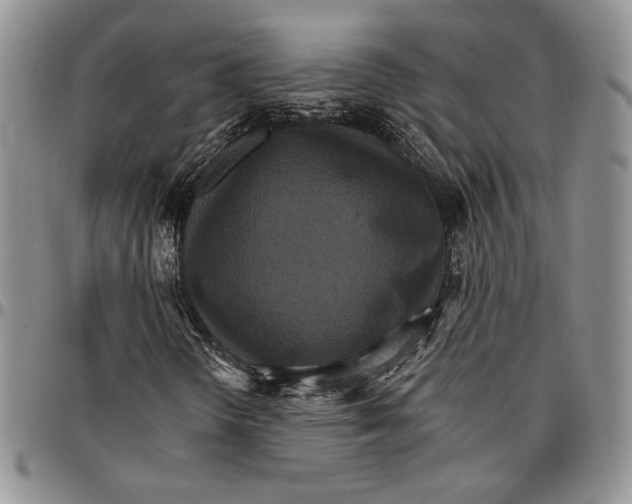 X0000096661298200803041152