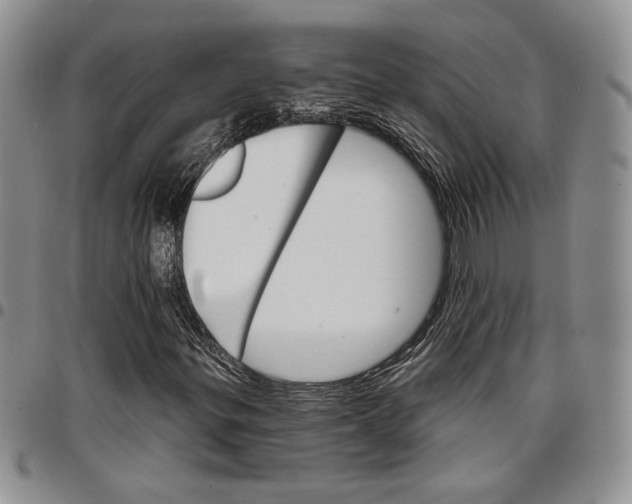 X0000096661299200803041152