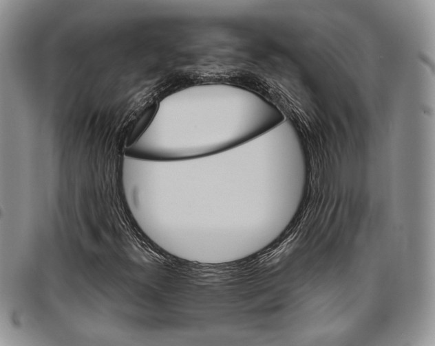 X0000096661300200803041152