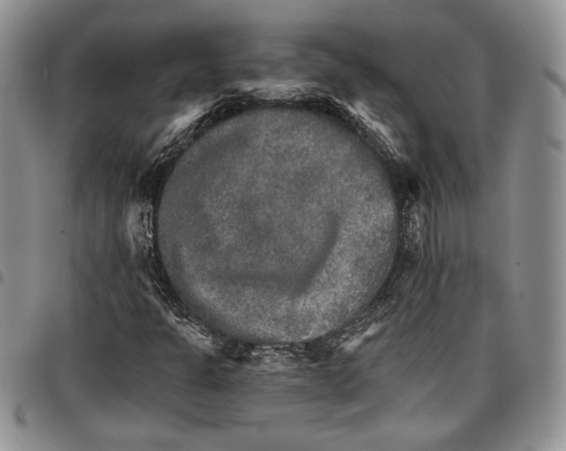 X0000096661301200803041152