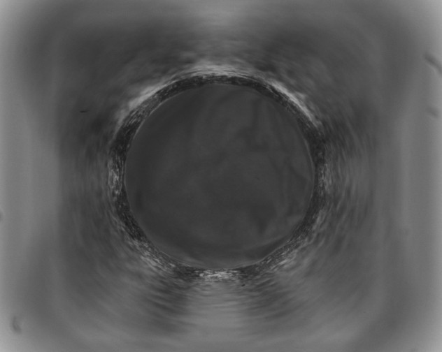 X0000096661303200803041152