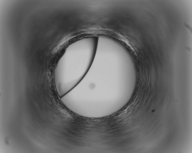 X0000096661304200803041152