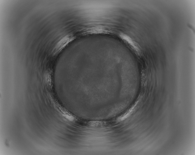 X0000096661305200803041152