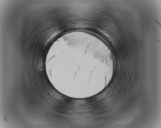 X0000096661306200803041152