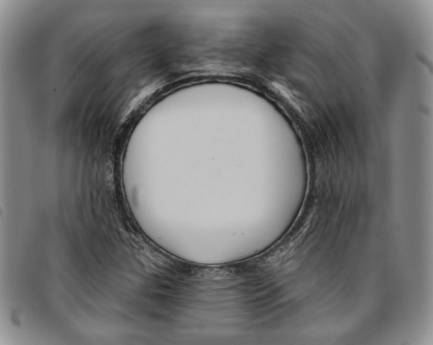 X0000096661307200803041152