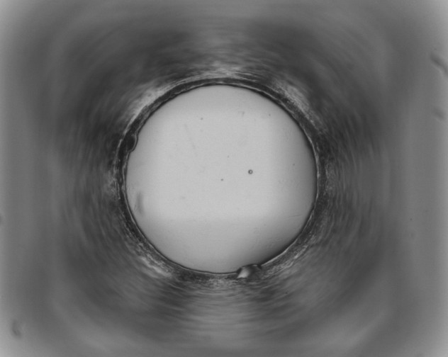 X0000096661308200803041152