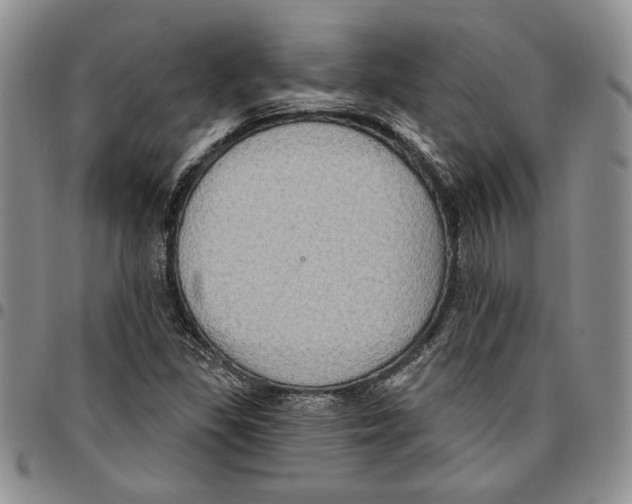 X0000096661309200803041152