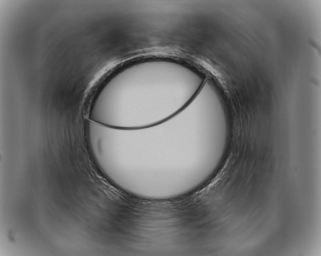 X0000096661310200803041152