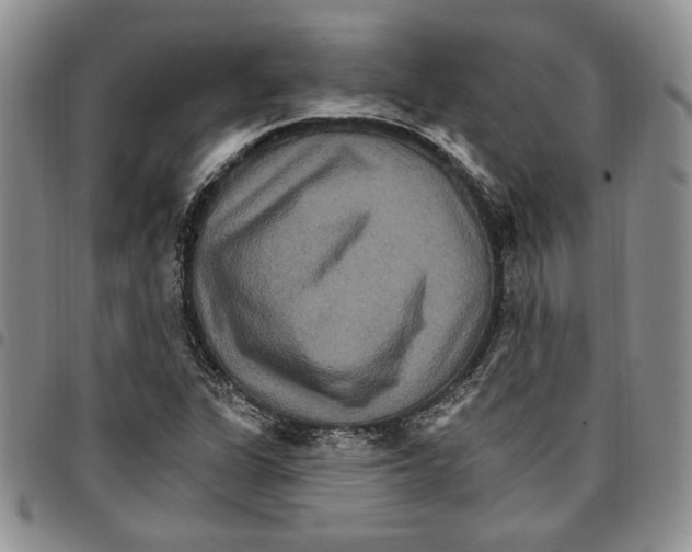 X0000096661311200803041152