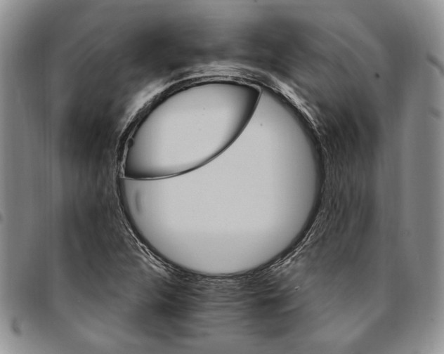 X0000096661312200803041152