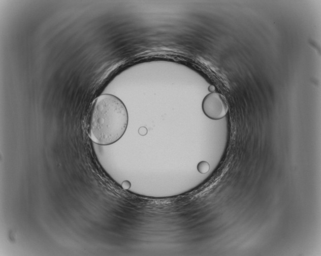 X0000096661313200803041152