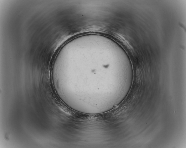 X0000096661316200803041152