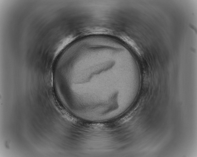 X0000096661317200803041152