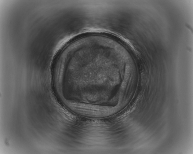 X0000096661319200803041152