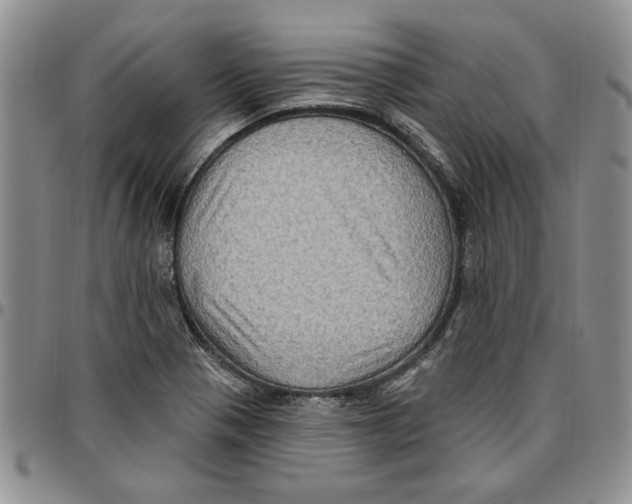 X0000096661321200803041152