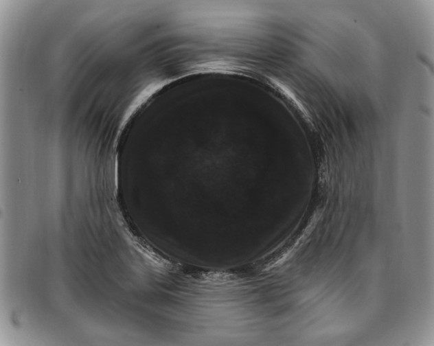 X0000096661323200803041152