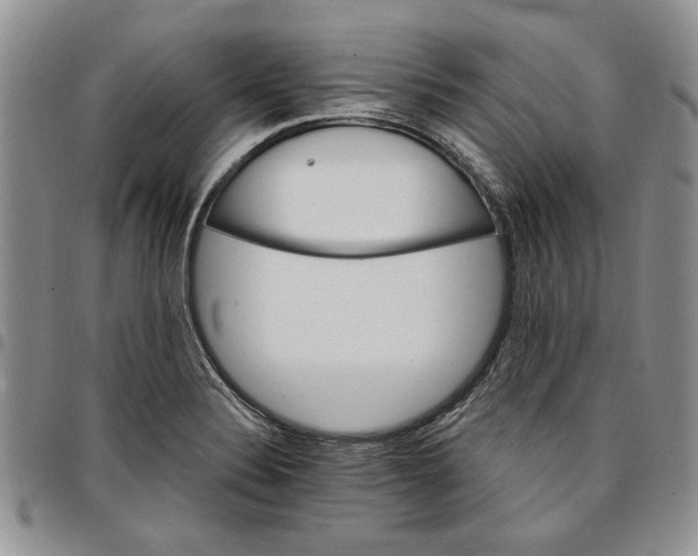 X0000096661324200803041152