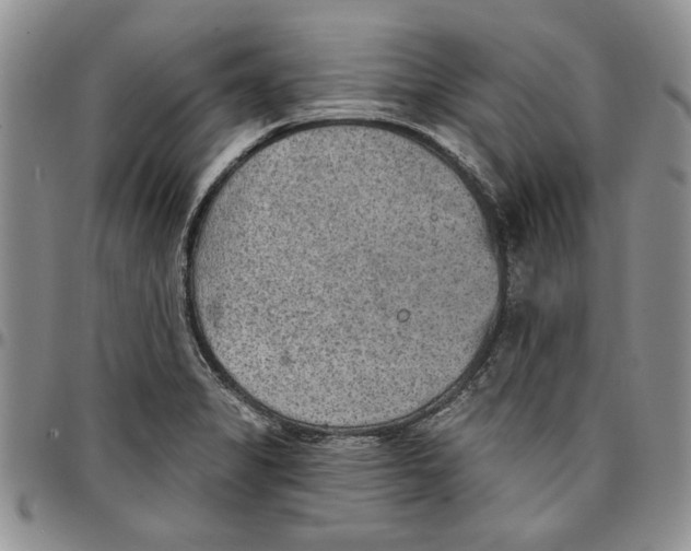 X0000096661325200803041152