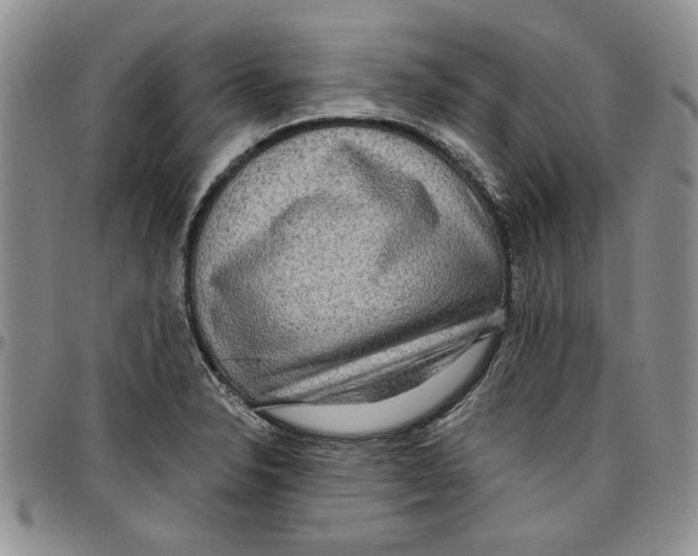 X0000096661326200803041152