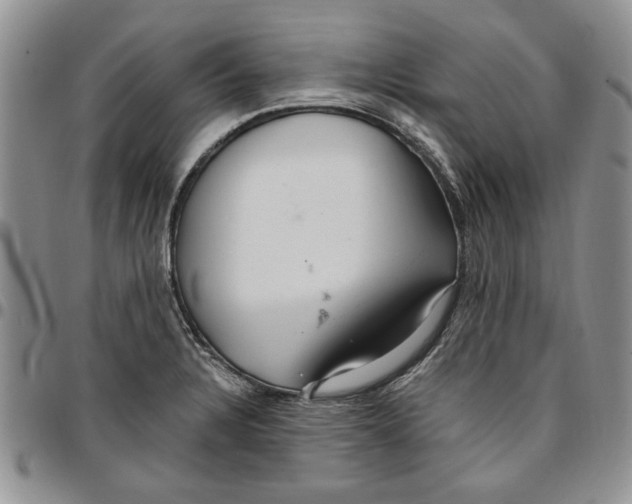 X0000096661328200803041152