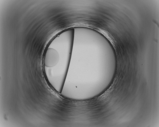 X0000096661331200803041153